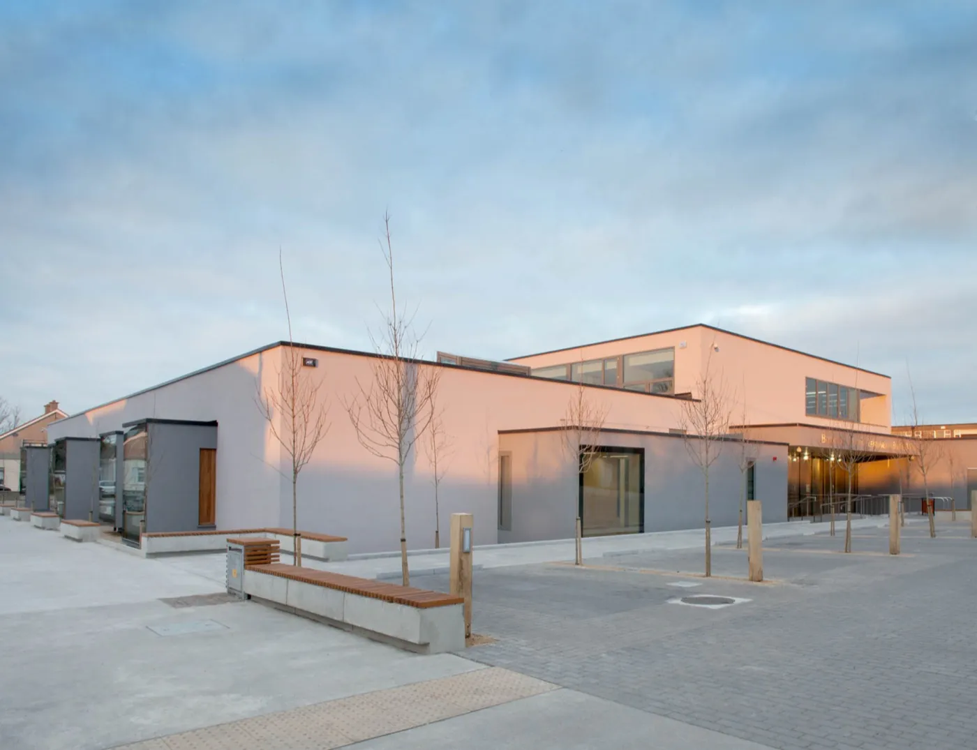 Ballyroan Library
