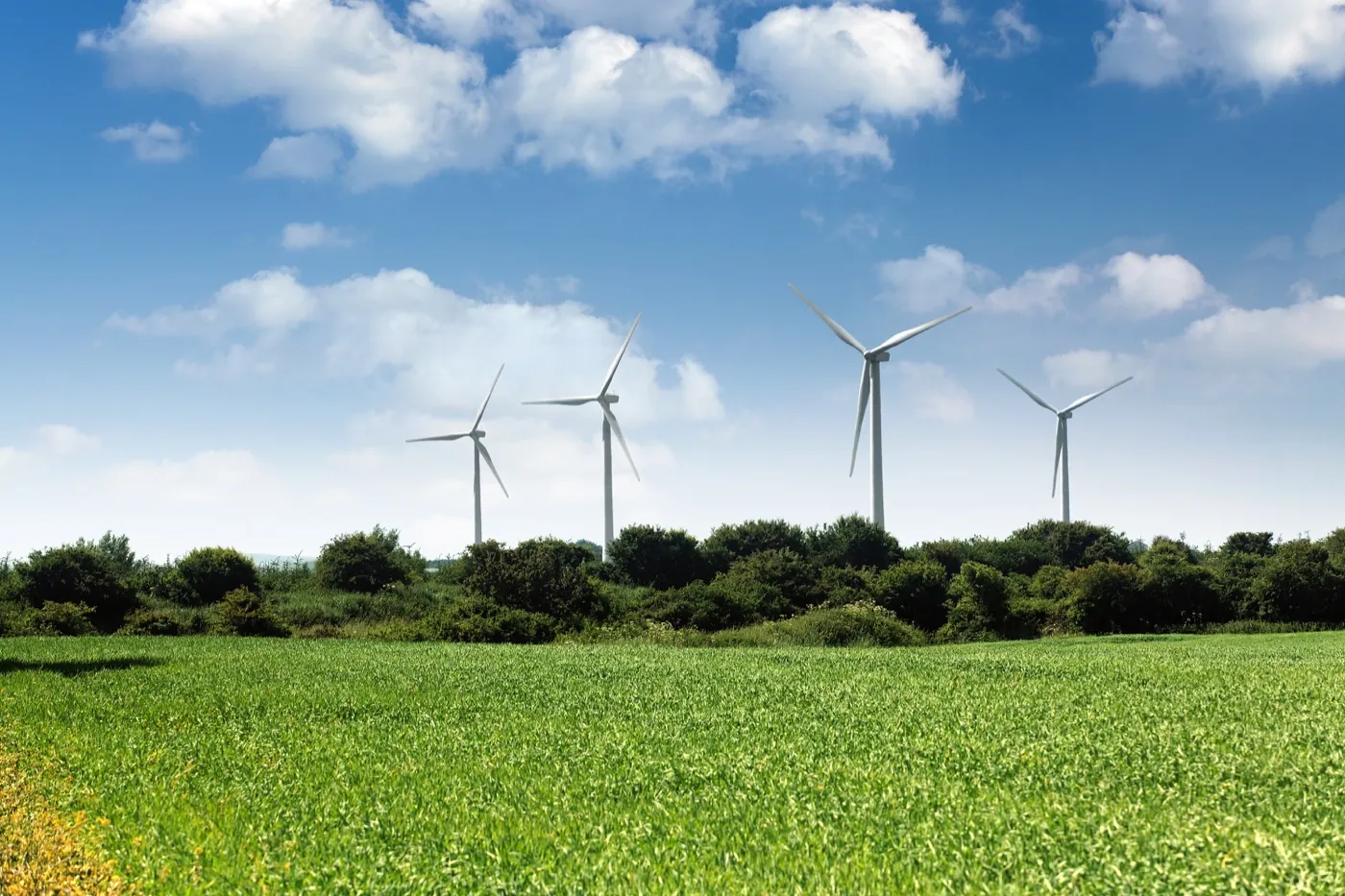 Crockahenny Windfarm